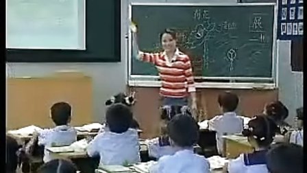荷花_小学优质课视频优质课教学实录