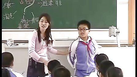 小学四年级语文优质课公开课视频《猫2》人教版_陈老师
