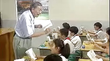 小学四年级语文优质课视频《小珊迪》_左老师2