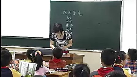 小学四年级语文优质课视频下册《花的勇气》人教版_董老师