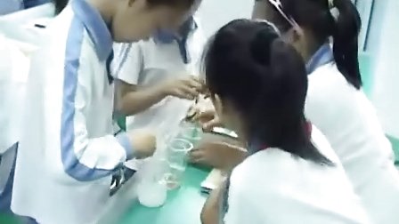小学四年级科学优质课视频《食盐在水中溶解了》_和婉春