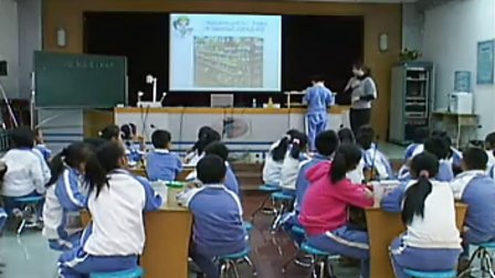 小学四年级科学优质课视频下册《食物包装上的信息》_黄春燕