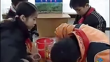 小学五年级科学优质课视频上册《做一个生态瓶》教科版_李老师