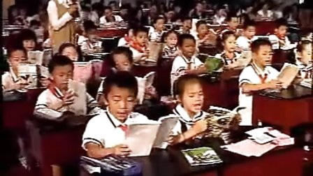 《酸的和甜的》青海王莹_全国第七届青年教师阅读教学活动（一等奖）