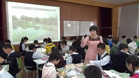 多种多样的生态系统-高雁-2012江苏省生物评优课-七年级生物