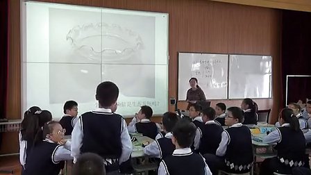 多种多样的生态系统-卢晓勤-2012江苏省生物评优课-七年级生物