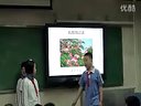 小学五年级语文触摸春天教学视频福田区上沙小学陈华