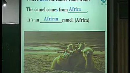 《is it an african elephant》讲授_初中英语