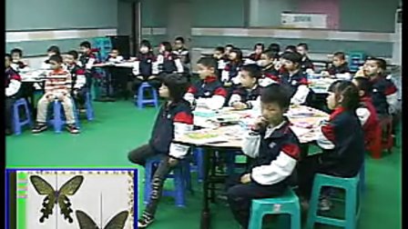 《蝶儿飞飞》讲授类