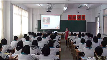 module 11《unit1》讲授课类_初中英语