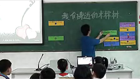 综合选题课《我们身边的木棉树》讲授课片段_小学