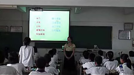《老人与海鸥》讲授-演示类教学片段_小学语文微课视频