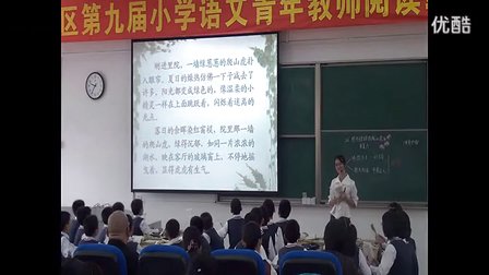 《那片绿绿的爬山虎》讲授片断（问答-启发类）_小学语文视频