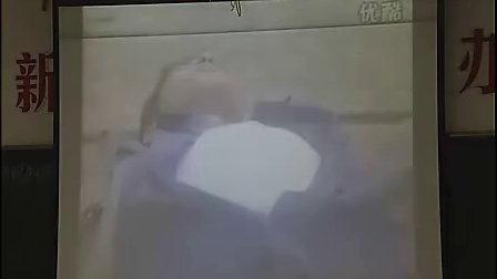 初中化学《警惕危害健康的化学品》(1)