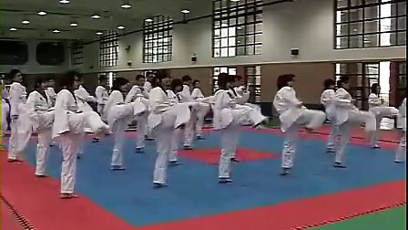 高一体育跆拳道教学视频 孙波