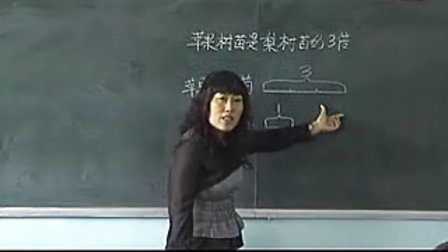 小学数学六年级下册《总复习》马庆宏