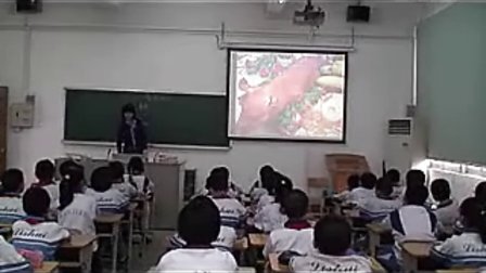 夏洛的网 小学语文