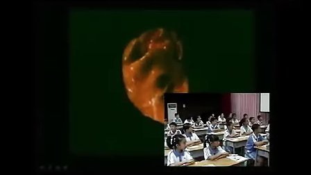 运动与心跳-整节课例