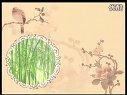 锦绣江南 - 优质课公开课视频专辑