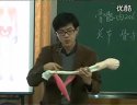 陈巍《骨骼、关节和肌肉》- 2011浙闽两省小学科学研讨会