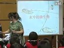 浙江省2011年小学科学课堂教学评比活动,用显微镜观察,胡黛