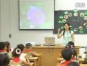 小学二年级语文优质课视频上册《月月花》西师版_刘畅
