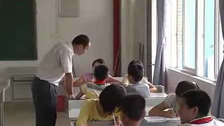 名称：《活体艺术-锦鲤》