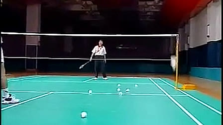 《羽毛球-快速提高》体育优质课视频-李玲蔚