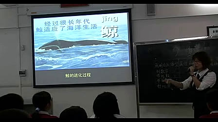 《鲸》小学语文五年级优质课视频