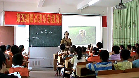 《猫》小学语文七年级优质课-陈白杨老师执教-视频（一）